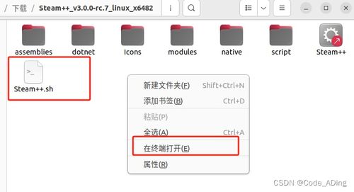 linux下運(yùn)行.tgz壓縮文件下的軟件程序 以steam 為例